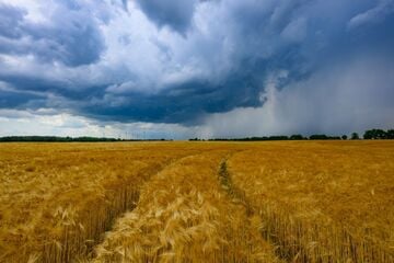Hitzepause vorbei? Auf dieses Wetter müssen wir uns in den kommenden Tagen einstellen