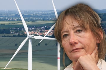 Windräder statt Bäume: Wird die Gohrischheide jetzt zum "Windpark"?