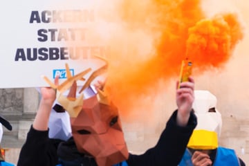 Tierischer Aufruhr vor Bundestag: PETA zündet mit Masken Bengalos und hat Plan
