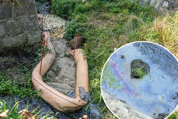 Rätselhafter Ölfilm fließt durch das Erzgebirge