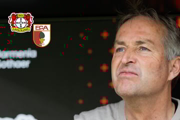 Chancenwucher wird eiskalt bestraft: Bayer 04 kassiert Last-Minute-Pleite gegen Augsburg