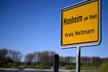 Mehr als 100 Fahnder im Einsatz: Razzia wegen Briefkastenfirmen in Steueroasen