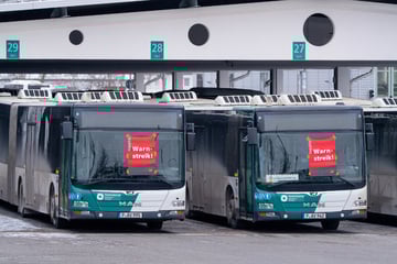 Kein Streik in Brandenburg: ÖPNV rollt am Donnerstag weiter