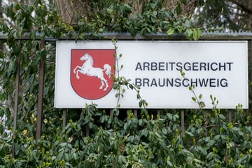 AfD-nahe Organisation scheitert vor Gericht mit Klage gegen VW-Tochter