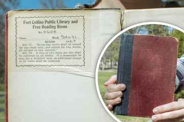 Roman nach 105 Jahren "Leihe" aufgetaucht: Bibliothek stellt satte Rechnung