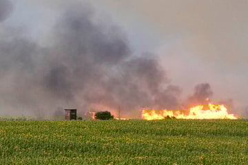 Waldbrand in der Gohrischheide: Katastrophenalarm ausgelöst