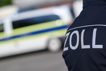Starker Gras-Geruch verrät Schmuggler: Zoll entdeckt 31 Kilo an Schweizer Grenze