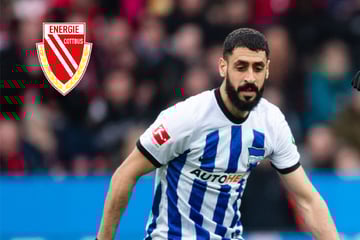 Transfer-Hickhack in Cottbus! Bläst Wollitz die Cigerci-Nummer ab?