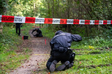 Ex-Frau im Wald ermordet: Polizei ermittelt auf Hochtouren – Motiv ist rätselhaft