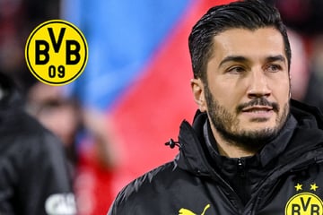Drei Neue für BVB-Coach Sahin! Mit diesem Trainerteam geht Dortmund in die neue Saison
