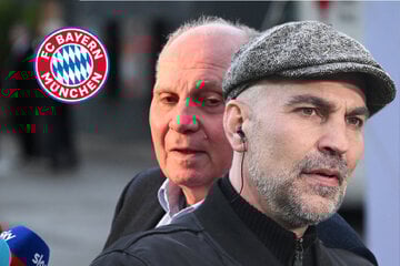 Ex-Profi Babbel knallhart: Hoeneß ist "das größte Problem des FC Bayern"