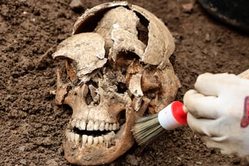 Verschwundener Schädel nach Monaten wieder aufgetaucht