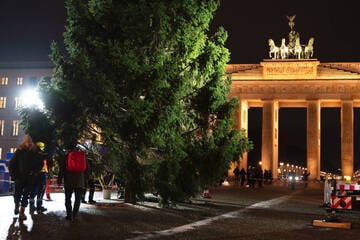 Berlin: Weihnachts-Tanne steht trotz Panne am Brandenburger Tor