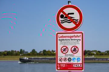 Zu viele Todesfälle! Nächste Stadt führt Badeverbot im Rhein ein