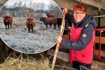 Chemnitz: Darum feiert der Natur-Hof Chemnitz sein Jubiläum eher leise