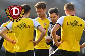 Dynamo-Dresden-Blog: SGD nutzt Länderspielpause für Testspiel