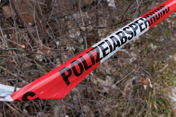 Jahrzehnte im Wasser: Niedrigwasser im Rhein legt Handgranate frei