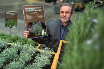 Chemnitz: Trend geht zur gesunden Ernährung: Jede Menge Kräuter zum "Chemnitzer Frühling"