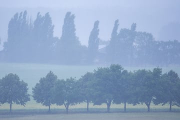 Heftige Unwetterwarnung für Mecklenburg-Vorpommern: Regen auf Ahrtal-Niveau möglich