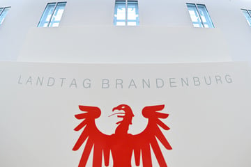 Landtagswahl Brandenburg 2024