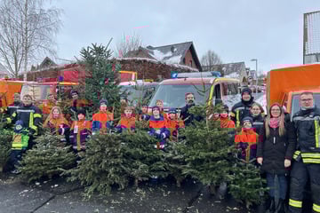 Pfadfinder und Jugendfeuerwehr sammeln Weihnachtsbäume ein