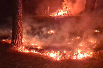 Feuer nahe Kloster Lehnin - hohe Waldbrandgefahr in Brandenburg