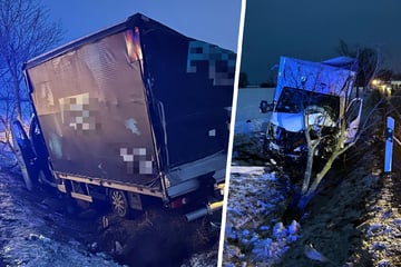 Flüchtiger Fahrer bringt Transporter von Bundesstraße ab: Polizei sucht Zeugen