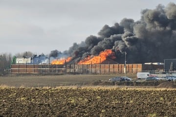 Millionenschaden! Kripo ermittelt nach Feuer in Recyclingbetrieb wegen fahrlässiger Brandstiftung
