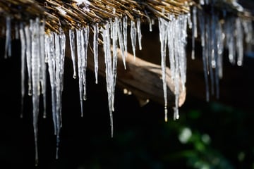 Letzte Frostnacht: Drastischer Wetterumschwung in Thüringen