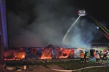 Feuer-Inferno in Stall: Hunderte Tiere gestorben