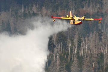 Von 160 Hektar war die Rede: Großbrand im Harz plötzlich nur noch ein Brändchen