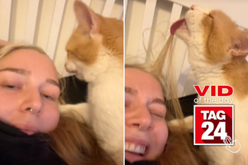 Viral Video of the Day for February 25, 2024: Cat freaks out owner with a stringy new snack idea!