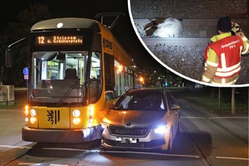 Zwei Straßenbahn-Unfälle in einer Nacht: Auto gerammt, Wildschwein überfahren