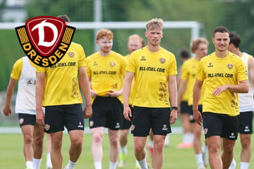 Dynamo-Dresden-Blog: Dann steigt das letzte öffentliche Training vor dem Saisonstart