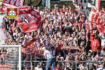 Fan-Boykott beim Rheinderby: Zog sich der Anhänger des 1. FC Köln die Hose selbst aus?