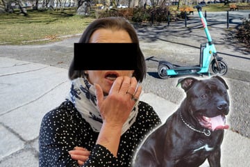 Hund bringt E-Scooter-Fahrer zu Fall, Rentner stirbt: Jetzt steht das Frauchen vor Gericht