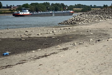 Pegelstand immer dramatischer: Rhein soll noch mehr Wasser verlieren