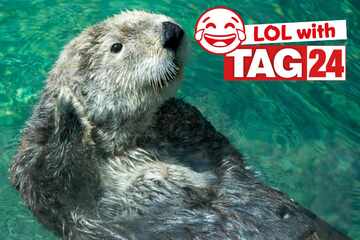 Joke of the Day for August 27, 2025: A swimming silly to make you smile