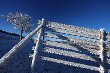 Frostiger Wochenstart in Bayern: Bis zu -13 Grad in der Nacht