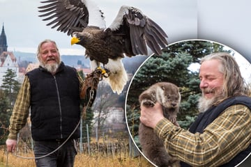 Bei ihm leben sogar Alpakas, Fischotter und Kängurus: Wie Falkner Peter zum eigenen Zoo kam