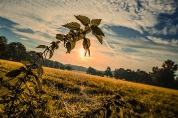 Viel Sonne und bis zu 23 Grad: Neue Woche in NRW zeigt sich mild