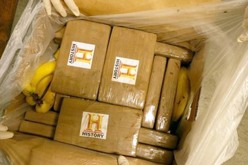 500 Kilo Kokain in Bananenkisten: Brandenburger Polizei gelingt Schlag gegen Drogenhandel