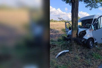 Transporter schiebt Auto in Baum: Drei Personen in Magdeburg schwer verletzt