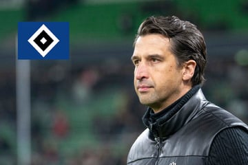 HSV-Blog: Ex-Boss steht nach nur wenigen Monaten vor dem Aus