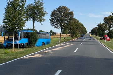 Tragisches Unglück: Hyundai kracht in Linienbus, Fahrer stirbt an Unfallstelle