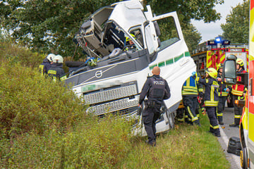 Lkw kracht frontal gegen einen Baum: Retter können nicht fassen, was dann passiert