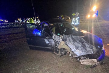 Unfall im Harz: Beschwipster Fahrer kracht gegen Baum und wird schwer verletzt!