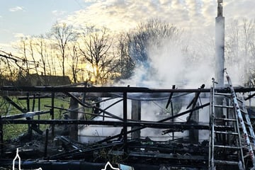 Gewächshaus an Weihnachten abgefackelt: Brandopfer in Spezialklinik geflogen