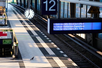Rollstuhlfahrer von S-Bahn erfasst und schwer verletzt