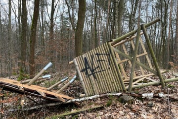 Dresden: LKA ermittelt gegen Klimakleber wegen Anschlägen auf Hochsitze